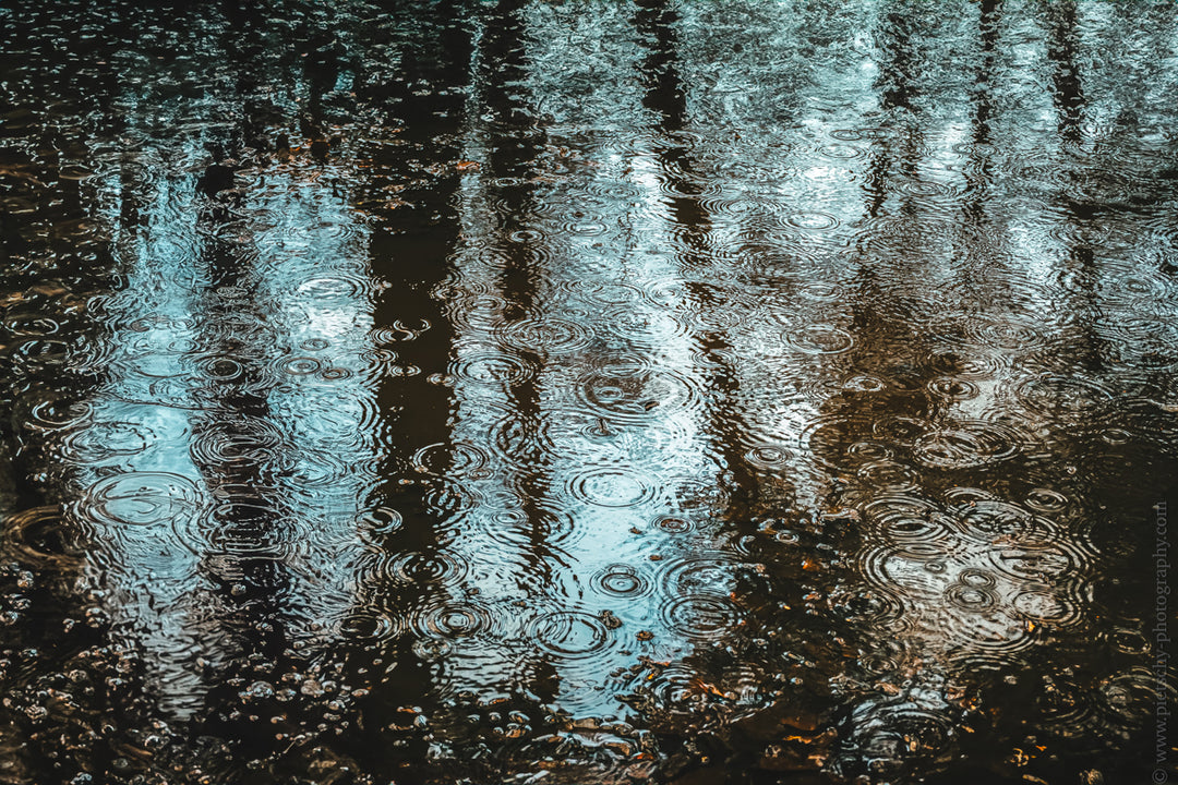 Stefanie Pietschmann raindrops in puddle pietschy photography