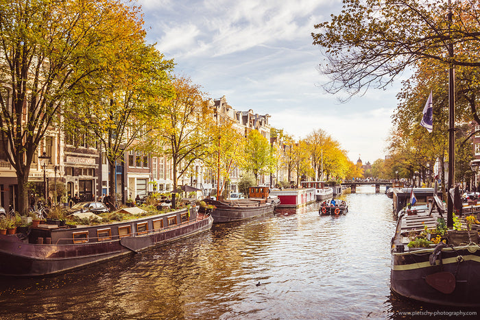 Autumn in Amsterdam, fall canal photography, Stefanie Pietschmann Photographer, golden leaves Amsterdam, Pietschy Photography, Amsterdam houseboats in autumn, warm seasonal cityscape, Dutch canals fall atmosphere, sustainable wall art, storytelling photog