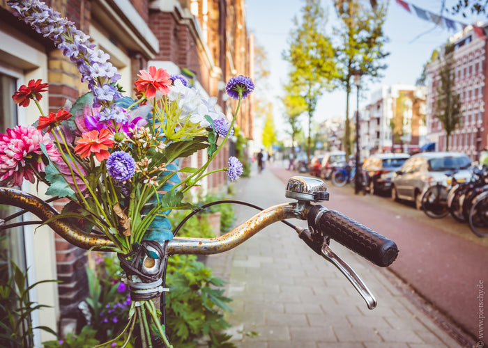 Amsterdam bicycles, biking in Amsterdam, Amsterdam street photography, Dutch cycling culture, bicycle with flowers Amsterdam, Amsterdam lifestyle photography, colorful bike Amsterdam, urban life Netherlands, Amsterdam summer streets, cycling city Netherla