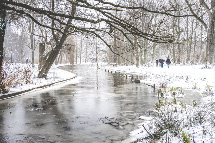 Winter in Amsterdam’s Oosterpark, snowy park landscape, Stefanie Pietschmann Photographer, frozen canal scenery, Pietschy Photography, serene winter walk, Amsterdam nature in snow, peaceful seasonal landscape, sustainable wall art, storytelling photograph