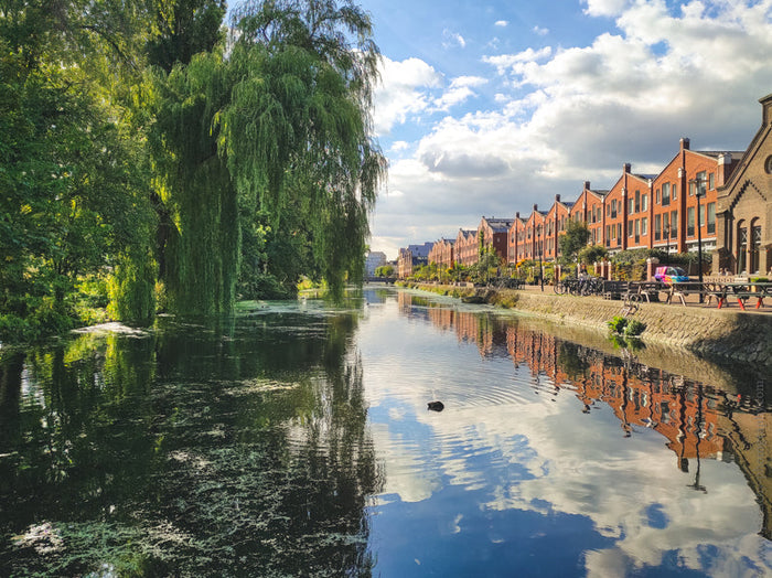 30-day photography challenge, daily photo challenge, cellphone photography tips, creative photography ideas, photo challenge journey, photography challenge inspiration, how to start a photo challenge, boosting creativity with photography, documenting ever