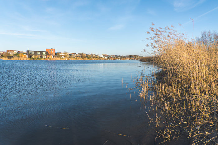 Diemer Park in Amsterdam, Stefanie Pietschmann photography, Diemerpark Amsterdam natural attractions, Urban Transformation Diemer Park, Amsterdam parks,  IJmeer lake activities in Amsterdam, Outdoor activities Diemer Park