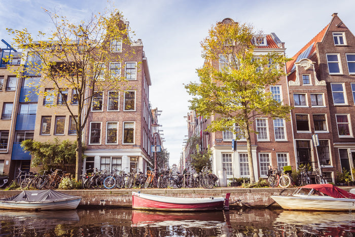 Amsterdam in autumn, Bloemgracht Canal Amsterdam, Bloemgracht Jordaan autumn, Jordaan district Amsterdam, Amsterdam canal houses fall, autumn in Amsterdam Netherlands, colorful trees Bloemgracht, Amsterdam canals in October, historic houses Jordaan Amster