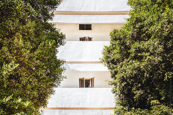 Bauhaus on Tel Aviv’s Dizengoff Square, Kikar Dizengoff architecture, Stefanie Pietschmann Photographer, White City Tel Aviv, Pietschy Photography, Bauhaus buildings Israel, Tel Aviv architectural photography, Dizengoff Square renovation, sustainable wall