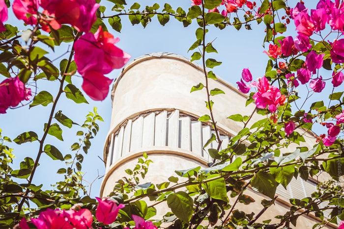 Bauhaus in Tel Aviv, Tel Aviv Bauhaus architecture, Bauhaus buildings Tel Aviv, White City Tel Aviv, modernist architecture Tel Aviv, Bauhaus architecture photography, Tel Aviv architectural photography, Bauhaus wall art Tel Aviv, Tel Aviv fine art print,