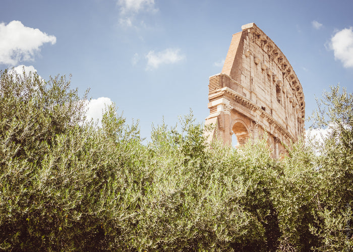 Colosseum Rome Italy, Roman Colosseum architecture, ancient Rome landmark, Colosseum exterior view, Rome historical monuments, iconic landmarks in Rome Italy, Roman Empire architecture, Colosseum ruins photography, travel Rome Italy landmarks, famous Ital