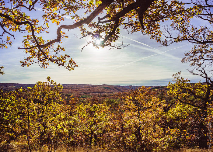 Autumn in the Harz Mountains, Harz Mountains Germany, autumn in the Harz, Harz autumn landscape, Blankenburg Harz, Blankenburg Germany, Harz Mountains photography, German autumn landscape, autumn forest Germany, Harz forest, fall in Germany, Germany lands
