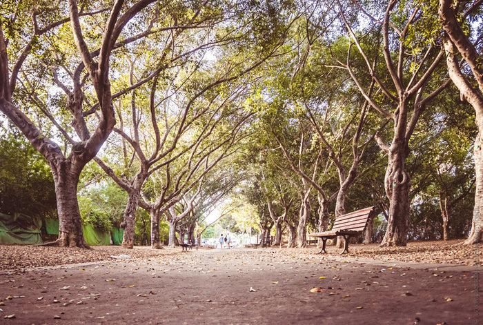 Givatayim, Stefanie Pietschmann photography, unseen struggles in urban parks, Giv'atayim Park, hidden stories, emotional stories from Giv'atayim Park, burn-out stories, Exploring Giv'atayim Park