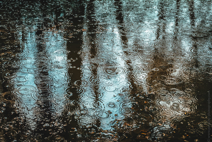 rain in the Netherlands, Dutch rain photography, raindrops on water, rainy day in the Netherlands, water reflections photography, abstract nature photography, Dutch landscape details, rain ripple pattern, reflective water surface, moody weather photograph