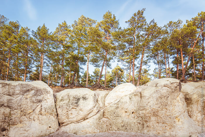 Sandhöhlen in the Harz Mountains, forest photography Harz, Stefanie Pietschmann Photographer, mindfulness in nature, Pietschy Photography, geological formations Harz, Heers Forest Blankenburg, nature fine art print, sustainable wall art, storytelling phot