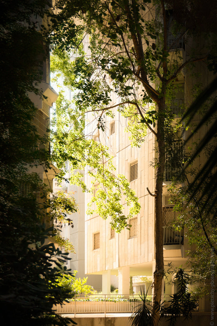 Tel Aviv cityscape, Tel Aviv urban nature photography,  Sunlight through trees in cityscape, Shade and sunlight in urban settings, Modern buildings with nature in Tel Aviv, Stefanie Pietschmann photography