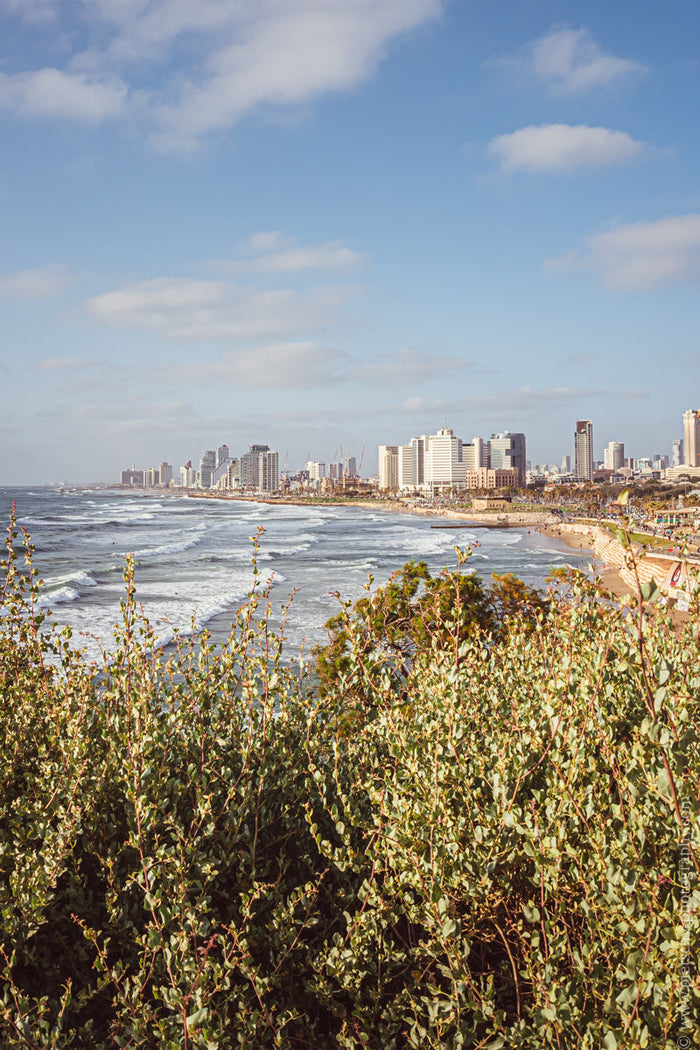 Tel Aviv beach panorama, coastal photography Israel, Stefanie Pietschmann Photographer, Tel Aviv skyline view, Pietschy Photography, Jaffa beach landscape, panoramic Tel Aviv coast, modern architecture by the sea, sustainable wall art, storytelling photog