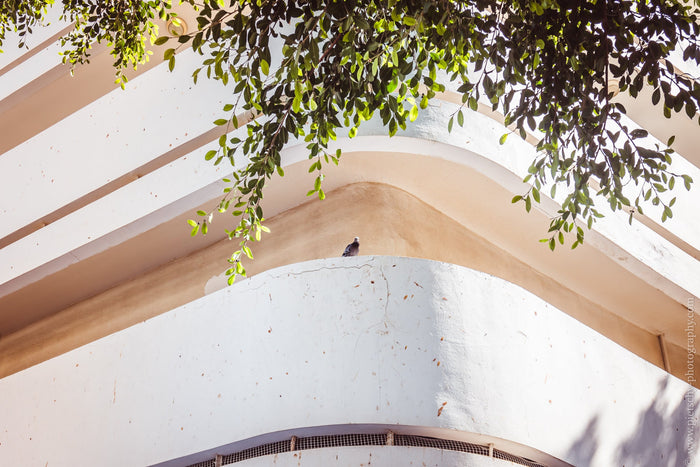 Bauhaus architecture Dizengoff Square, Bauhaus in Tel Aviv, Dizengoff Square Bauhaus, Tel Aviv Bauhaus architecture, White City Tel Aviv architecture, Bauhaus buildings Tel Aviv, modernist architecture Tel Aviv, Tel Aviv urban photography, Bauhaus wall ar