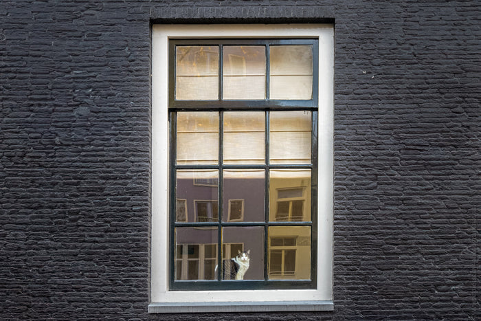 Amsterdam’s houses, traditional Dutch architecture, Stefanie Pietschmann Photographer, Amsterdam canal homes, Pietschy Photography, historic brick facades, cultural heritage Amsterdam, Dutch window design, sustainable wall art, storytelling photography