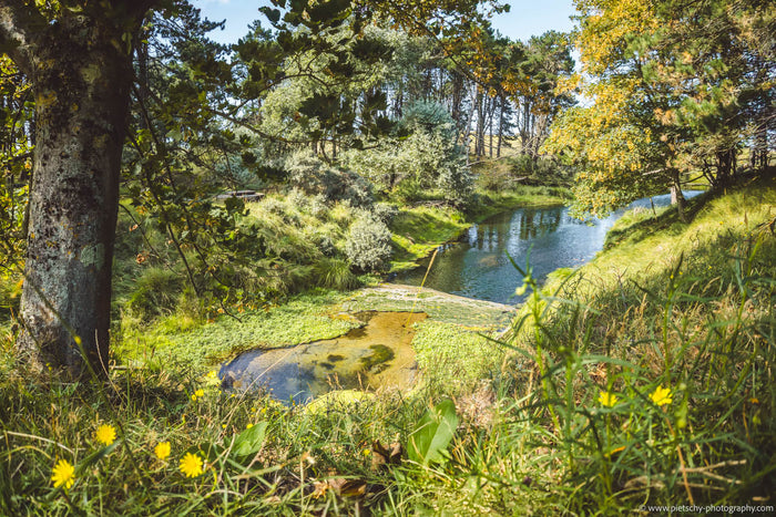 Dutch nature landscape, Amsterdamse Waterleidingduinen dunes, Zandvoort nature photography, Stefanie Pietschmann Photographer, Dutch coastal landscape, Pietschy Photography, hidden house in the dunes, nature fine art print Netherlands, serenity in wild la
