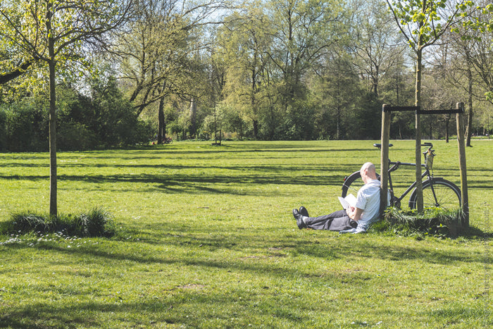 Vondelpark in Amsterdam, Stefanie Pietschmann photographer, Peaceful places in Amsterdam, Relaxing spots in Vondelpark, Best parks in Amsterdam for relaxation, Quiet areas in Vondelpark, Where to find tranquility in Amsterdam, Vondelpark serene spots