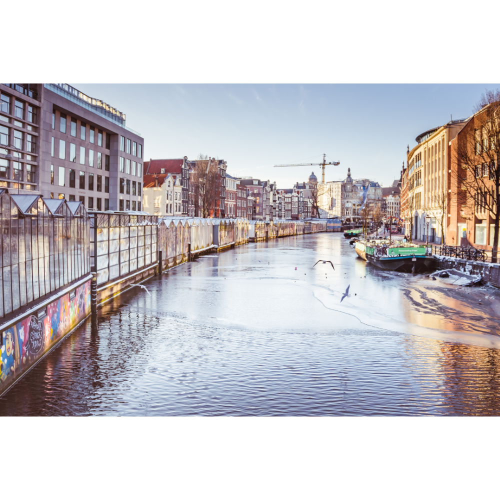 Amsterdam wall art, Amsterdam flower market poster, flower market wall art, Amsterdam poster, fine art print, floral wall decor, Netherlands wall art, botanical poster, canal print, Amsterdam photography print