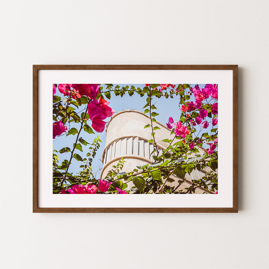 Tel Aviv wall art, Bauhaus architecture print, pink flower photo, Mediterranean wall decor, Israel photography print, minimalist Bauhaus poster, White City Tel Aviv, modern architecture art, Tel Aviv Bauhaus poster, floral architecture art, fine art photography print