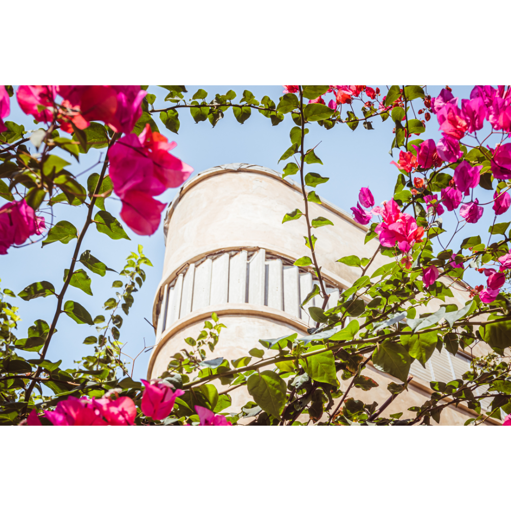 Tel Aviv wall art, Bauhaus architecture print, pink flower photo, Mediterranean wall decor, Israel photography print, minimalist Bauhaus poster, White City Tel Aviv, modern architecture art, Tel Aviv Bauhaus poster, floral architecture art, fine art photography print