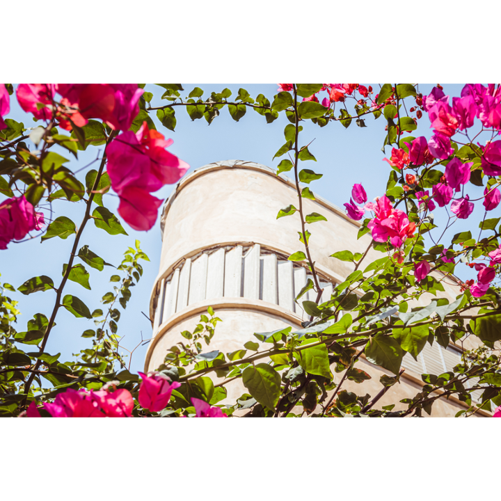 Tel Aviv wall art, Bauhaus architecture print, pink flower photo, Mediterranean wall decor, Israel photography print, minimalist Bauhaus poster, White City Tel Aviv, modern architecture art, Tel Aviv Bauhaus poster, floral architecture art, fine art photography print