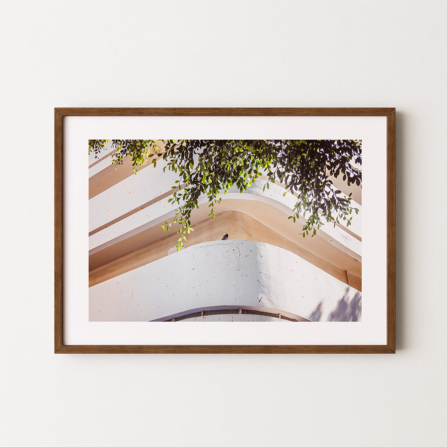 Bauhaus wall art, Tel Aviv architecture print, Dizengoff Square poster, Israel photography art, minimalist Bauhaus decor, Bauhaus photography print, Tel Aviv fine art, modern architecture wall art, White City Tel Aviv, pigeon Bauhaus print