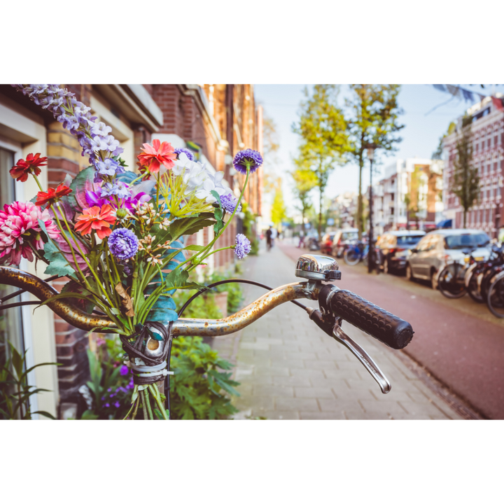 Amsterdam wall art, Amsterdam poster, Amsterdam print, bicycle wall art, flower photography print, canal art print, Netherlands wall decor, Amsterdam fine art, cityscape wall art, urban photography print, Dutch architecture photo, floral travel poster