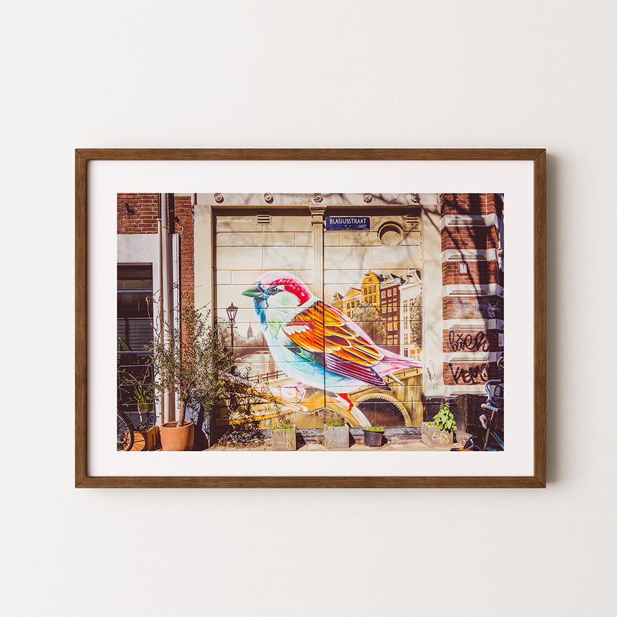 Amsterdam wall art, graffiti street art poster, Amsterdam print, bird street art print, urban photography art, Amsterdam graffiti poster, urban wall art