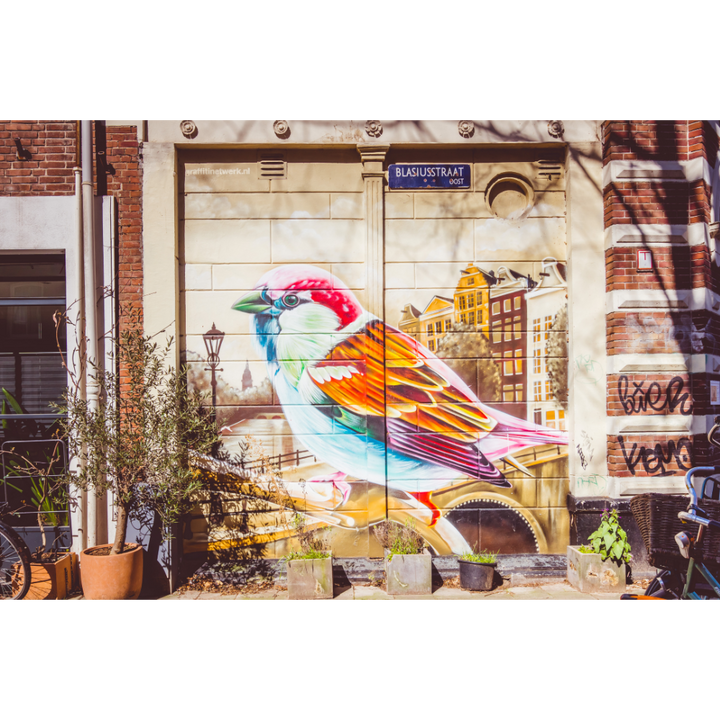 Amsterdam wall art, graffiti street art poster, Amsterdam print, bird street art print, urban photography art, Amsterdam graffiti poster, urban wall art