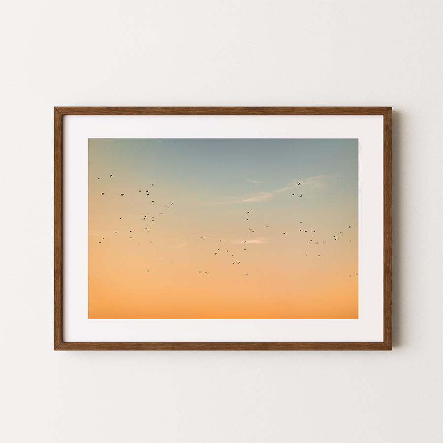sunset wall art, birds wall art, sky photography print, cinematic fine art print, peaceful wall decor, nature poster, golden hour art, serene photography print, Netherlands fine art, minimalist nature print