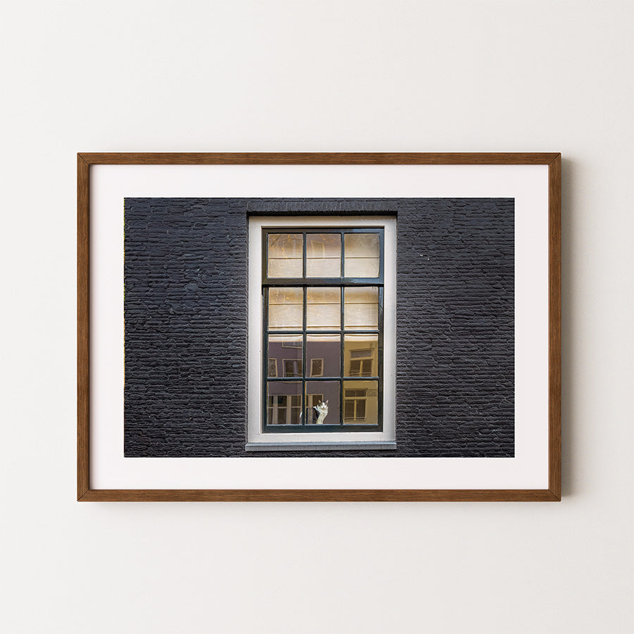 Amsterdam wall art, cat wall art, Amsterdam photography print, moody city art, fine art cat print, Dutch home decor, cat in window photo, urban stillness wall art, Europe travel print, archival fine art, storytelling photography, minimalist photo print, cat poster Amsterdam, urban nature print, interior art for cat lovers