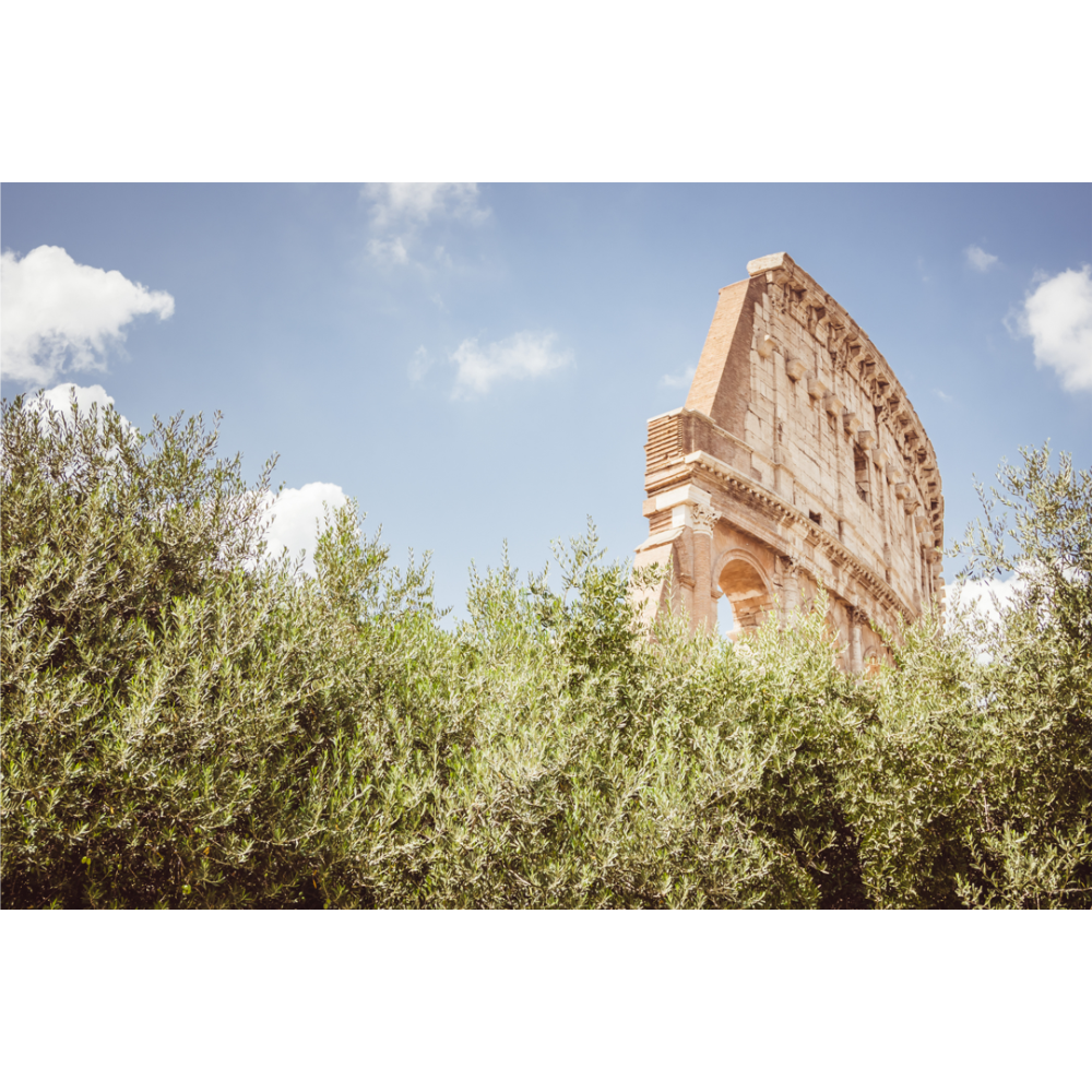 Rome wall art, Colosseum poster, Italy travel photography, Roman architecture print, Rome fine art, Colosseum print, Italy photo poster, ancient Rome wall art, Italian landscape print, Rome photography wall art