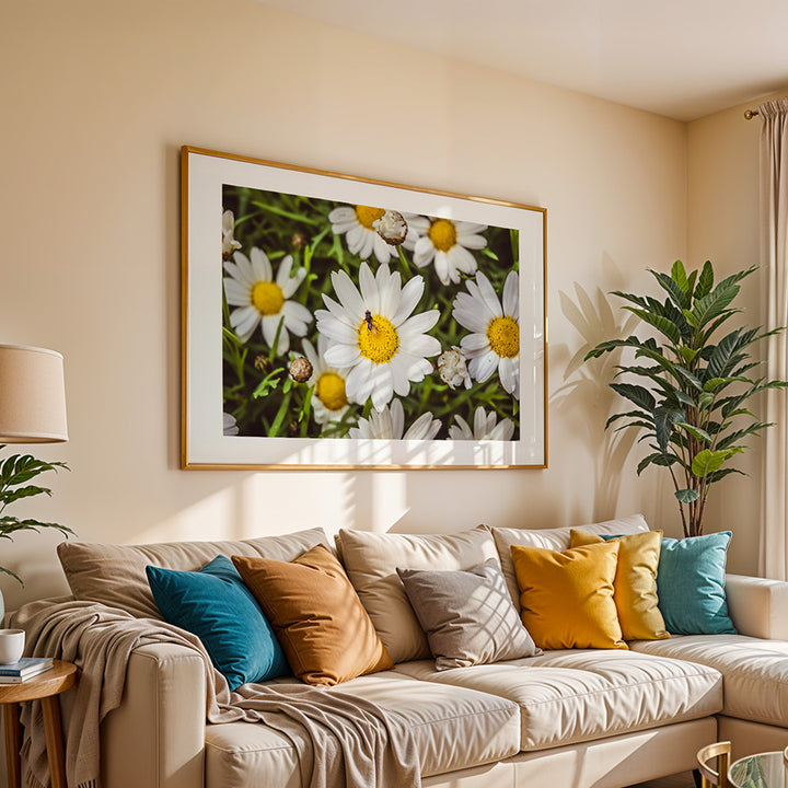 Daisy Flower Poster - Botanical Fine Art Photography Wall Art