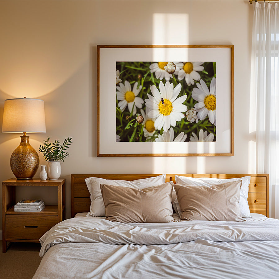 Daisy Flower Poster - Botanical Fine Art Photography Wall Art