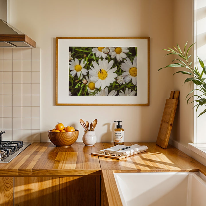 Daisy Flower Poster - Botanical Fine Art Photography Wall Art