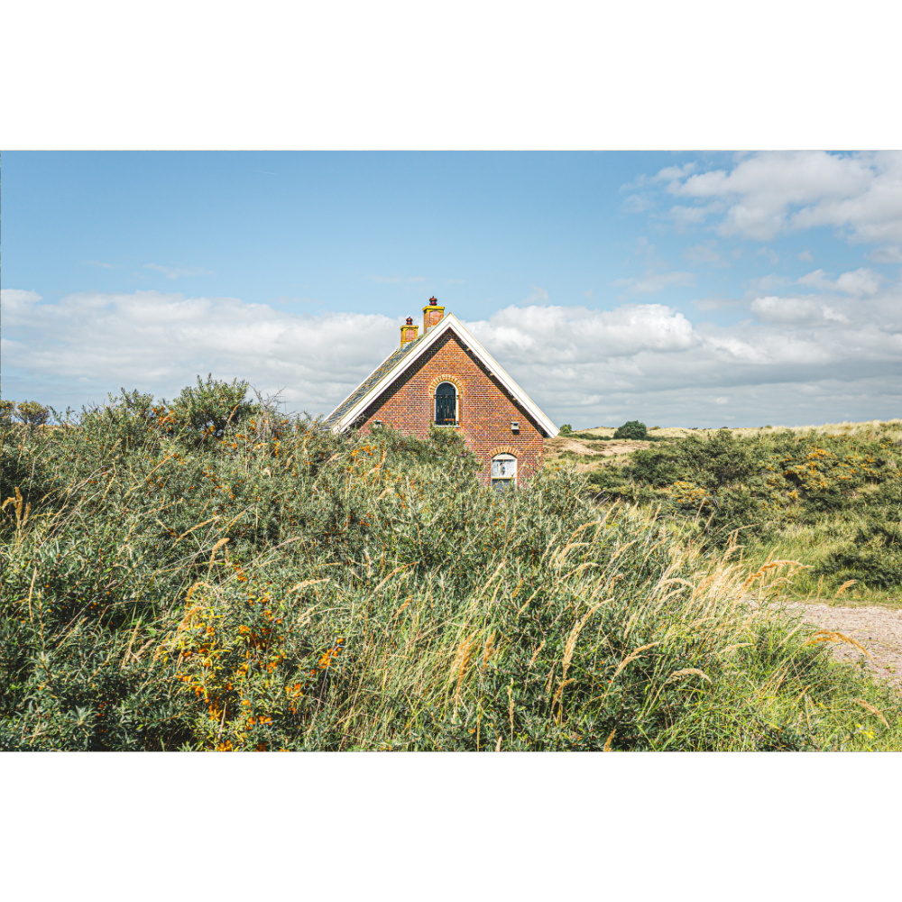 Dutch dunes landscape wall art, Netherlands dunes photography print, Dutch coastal nature wall art, Netherlands landscape fine art print, Dutch countryside photography print, Netherlands nature wall art, Holland dunes landscape print, coastal dunes fine art photography, Netherlands travel wall art, Dutch landscape poster
