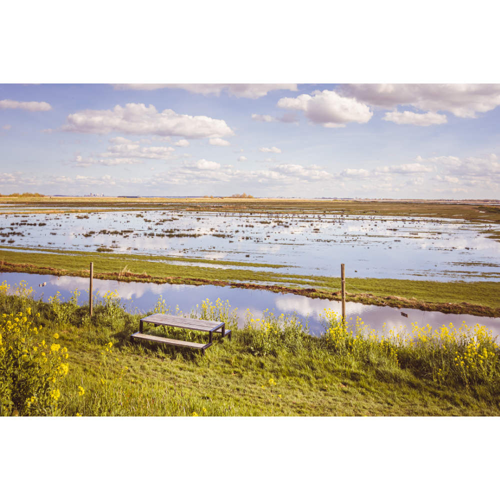 Dutch landscape wall art, Netherlands wall art, polder photography, Durgerdam print, moody landscape poster, fine art photography print, Dutch countryside art, scenic Dutch wall decor, Amsterdam region photo print, rural Netherlands artwork
