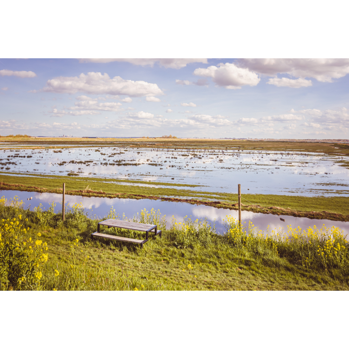 Dutch landscape wall art, Netherlands wall art, polder photography, Durgerdam print, moody landscape poster, fine art photography print, Dutch countryside art, scenic Dutch wall decor, Amsterdam region photo print, rural Netherlands artwork