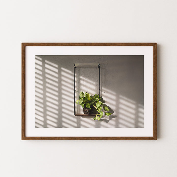 epipremnum pinnatum wall art, plant poster, botanical fine art print, green wall decor, minimalist plant print, monstera-inspired art, urban jungle poster, nature photography wall art, tropical plant print, indoor plant poster, leafy green wall art