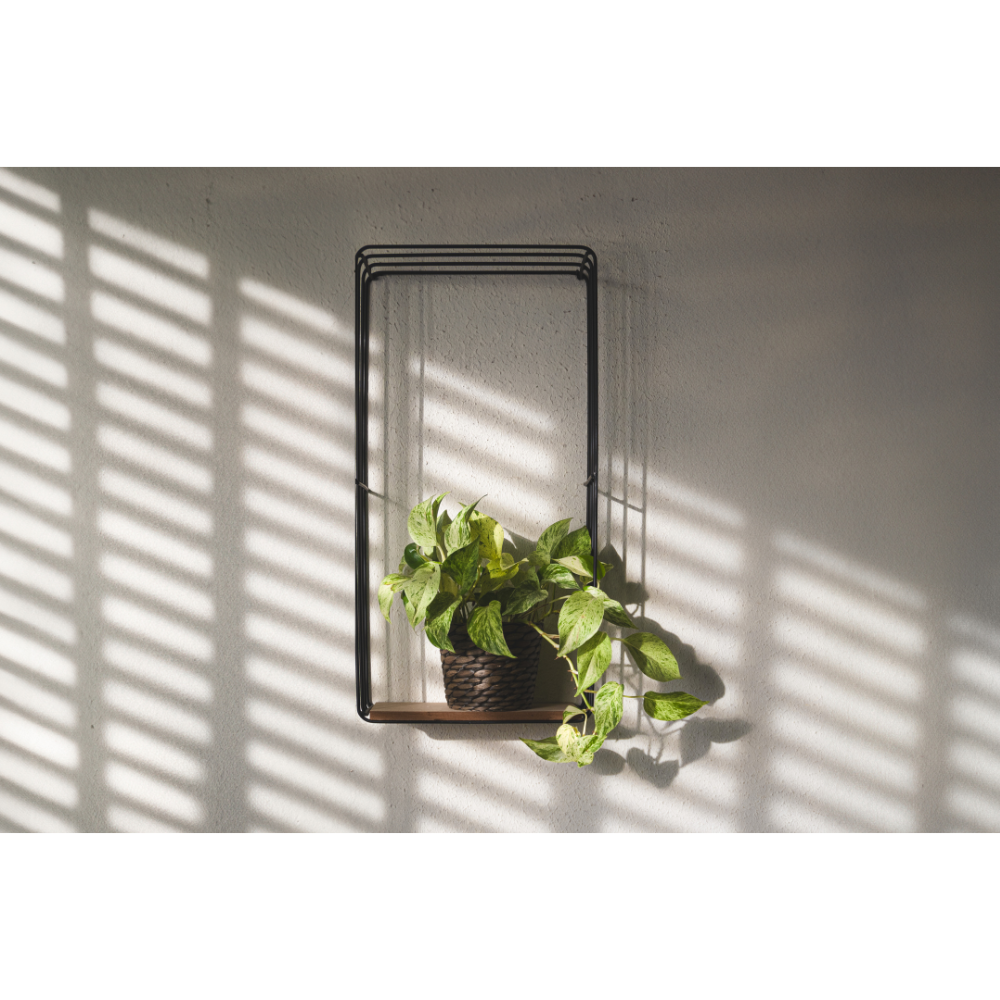 epipremnum pinnatum wall art, plant poster, botanical fine art print, green wall decor, minimalist plant print, monstera-inspired art, urban jungle poster, nature photography wall art, tropical plant print, indoor plant poster, leafy green wall art