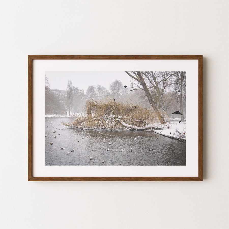 Amsterdam wall art, Oosterpark print, winter photography, fine art print, Amsterdam poster, minimalist wall art, Dutch landscape, park wall decor, serene nature photo, Netherlands travel art