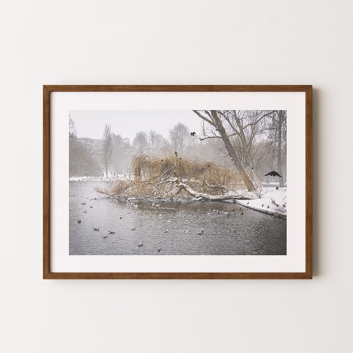 Amsterdam wall art, Oosterpark print, winter photography, fine art print, Amsterdam poster, minimalist wall art, Dutch landscape, park wall decor, serene nature photo, Netherlands travel art