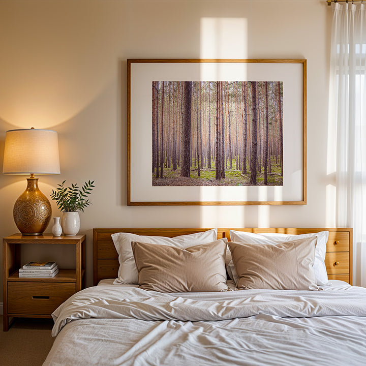 forest wall art, Germany forest print, Blankenburg Harz poster, nature photography print, fine art landscape, forest photo art, moody nature wall decor, German landscape poster, woodland photography print, tranquil forest wall art, nature-inspired home decor, fine art wall art