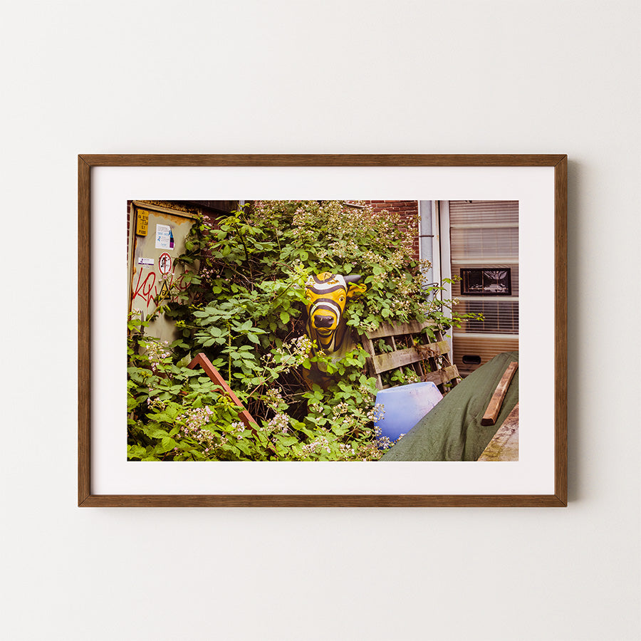 Amsterdam wall art, golden cow print, NDSM art, Amsterdam poster, fine art photography, modern wall decor, urban nature photo, sustainable art print, industrial Amsterdam wall art, storytelling wall art