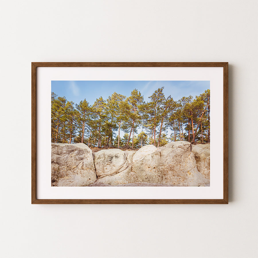 Harz Mountains wall art, forest poster, Blankenburg print, Germany nature wall art, European landscape photography, woodland print, mountain wall decor, moody forest photo, fine art photography print, archival forest print, Heers forest Germany, autumn forest wall art