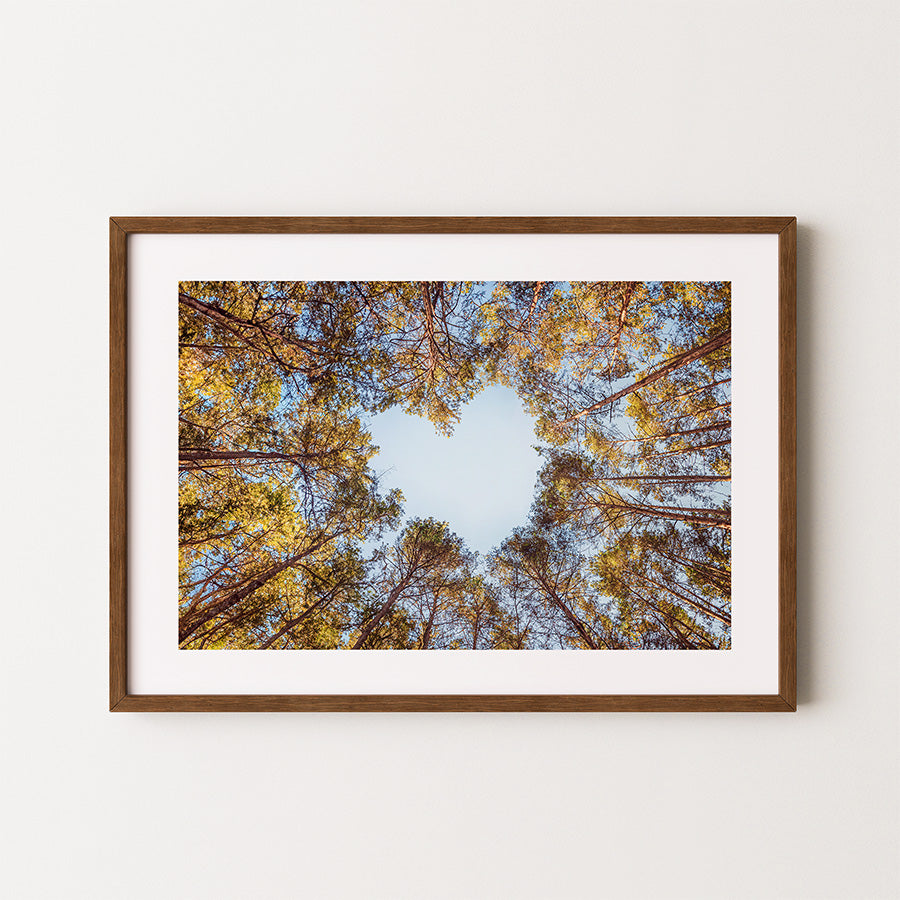 heart sky wall art, forest wall art, love shape clouds poster, sky shaped like heart print, nature wall decor, fine art forest photography, romantic sky print, tree canopy heart poster, heart shaped sky print, love sky fine art print