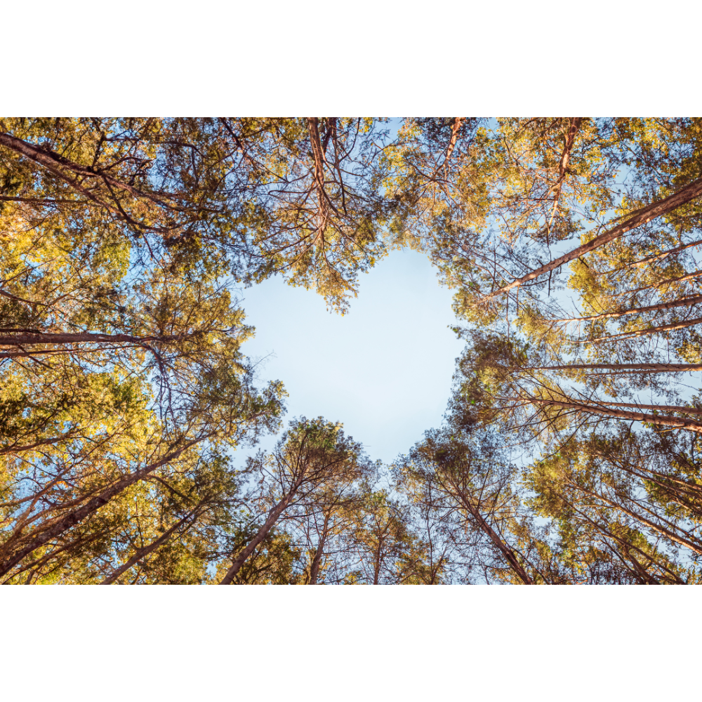heart sky wall art, forest wall art, love shape clouds poster, sky shaped like heart print, nature wall decor, fine art forest photography, romantic sky print, tree canopy heart poster, heart shaped sky print, love sky fine art print