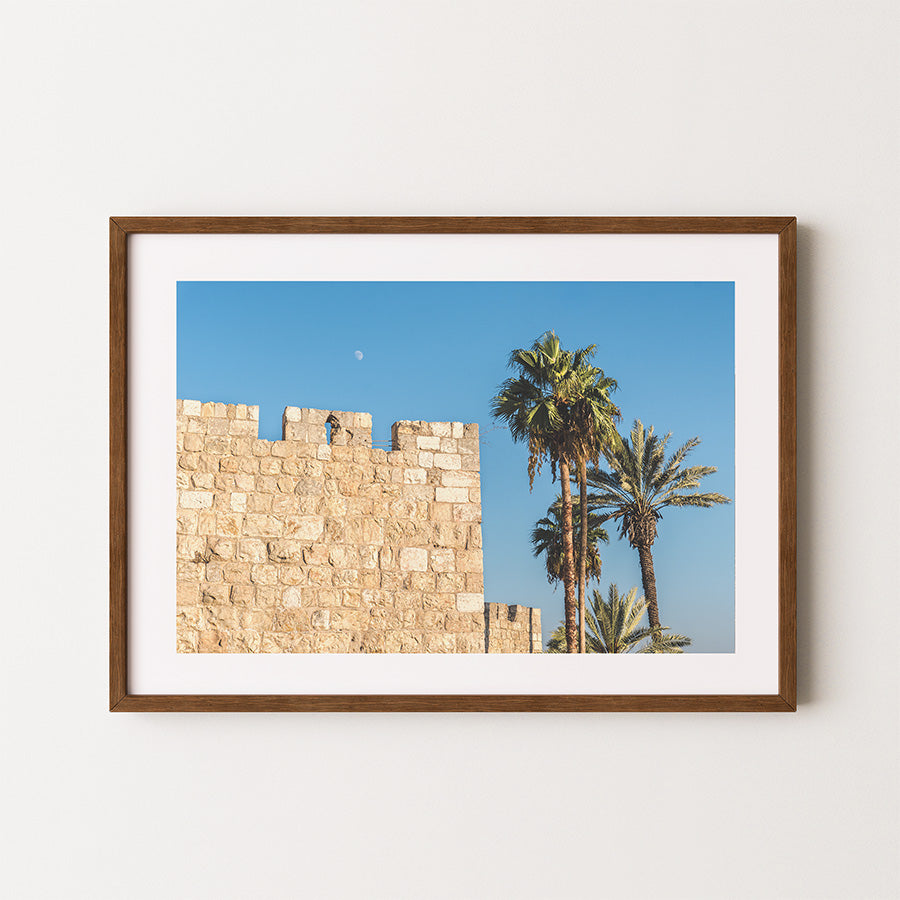 Jerusalem wall art, Jerusalem Old City wall art, Jerusalem print, Jerusalem poster, Israel photography, Israel wall art, Jerusalem photography, Jerusalem Old City photography, Old City Jerusalem, Jerusalem city walls, Jerusalem architecture, Holy Land wall art, Holy Land photography, Israel poster, palm tree wall art