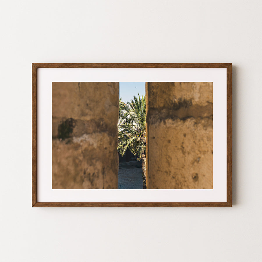 Jerusalem wall art, Israel poster, Jerusalem poster, Tower of David wall art, palm tree poster, architecture photography print, Middle East fine art, Hahnemühle photo print, Jerusalem travel art, urban nature wall decor, fine art print