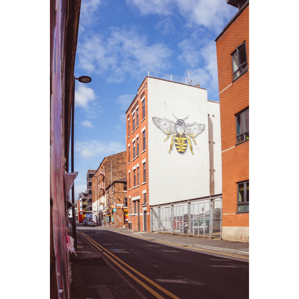 Manchester wall art, Manchester worker bee poster, fine art photography print, urban nature art, cityscape wall art, Manchester bee print, eco-friendly art print, museum-quality wall art