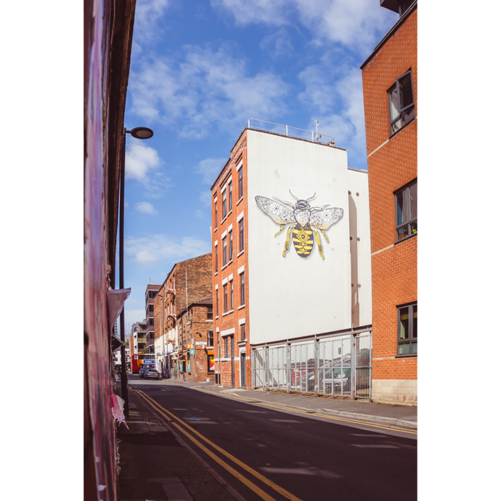 Manchester wall art, Manchester worker bee poster, fine art photography print, urban nature art, cityscape wall art, Manchester bee print, eco-friendly art print, museum-quality wall art